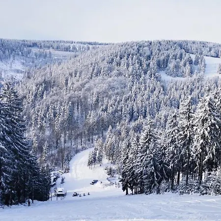Luksusowy Na Parterze W Okolicy Jeziora I Gor Sowich