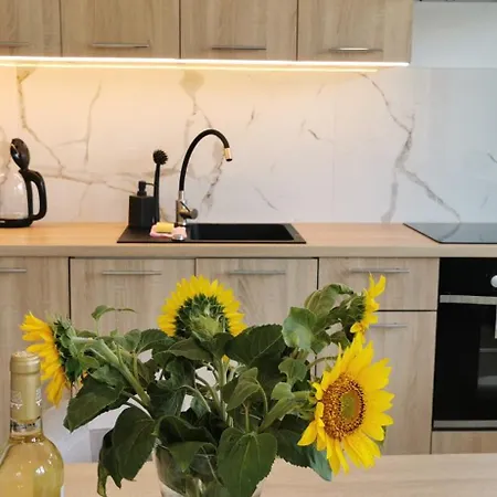 アパート Luksusowy Na Parterze W Okolicy Jeziora I Gor Sowich ビエラバ