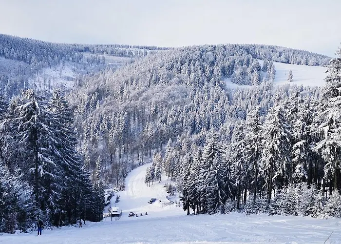 Luksusowy Na Parterze W Okolicy Jeziora I Gor Sowich